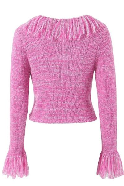 Scene-Stealer: Exquisite Slight Stretch Knitted Tassel Crop Sweater