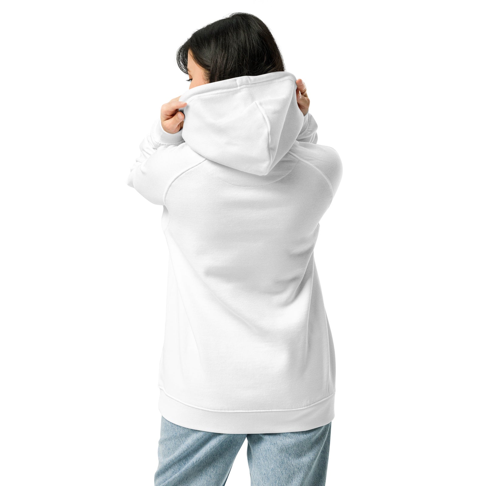 Kamala Blocks Unisex eco raglan hoodie